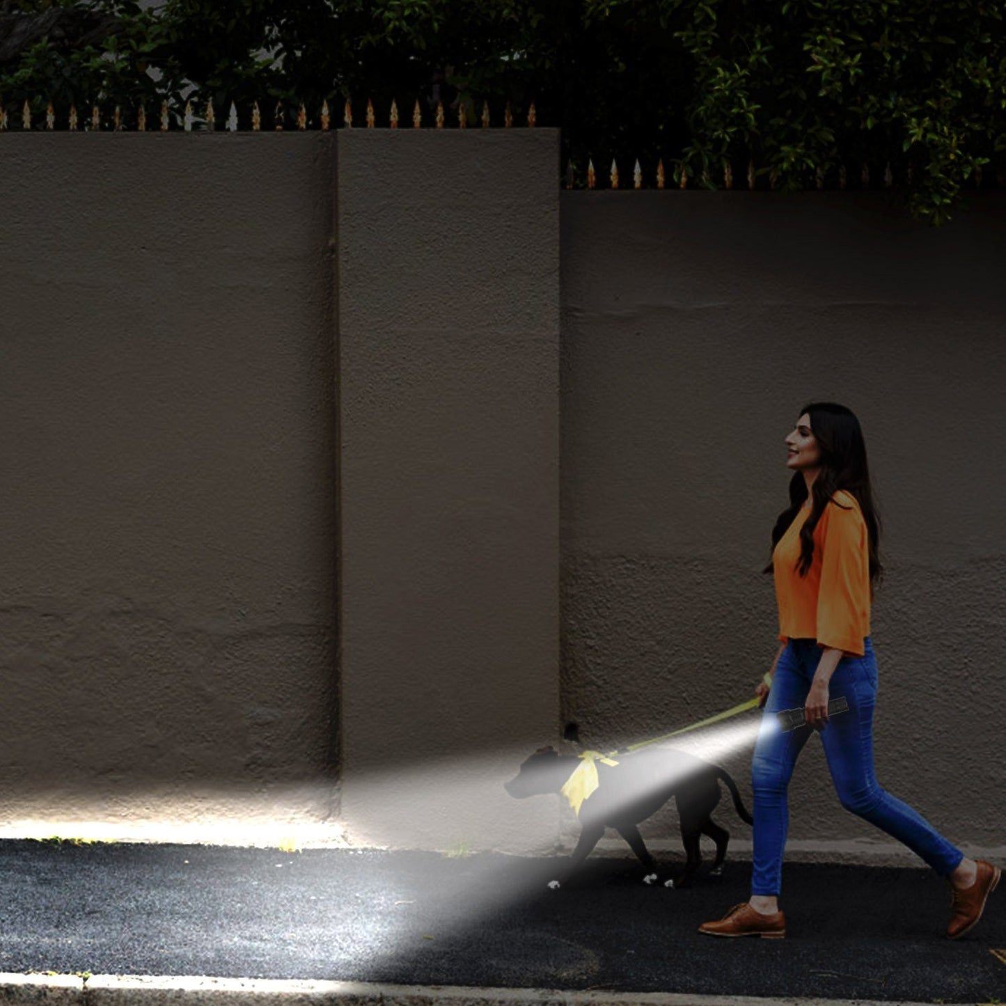 Rynx | LED Rechargeable Zoomable Flashlight