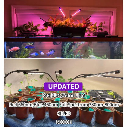 Rynx | LEOTER Grow Light for Indoor Plants
