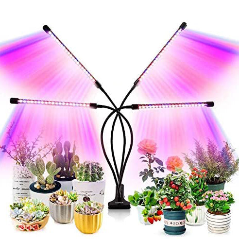 Rynx | LEOTER Grow Light for Indoor Plants