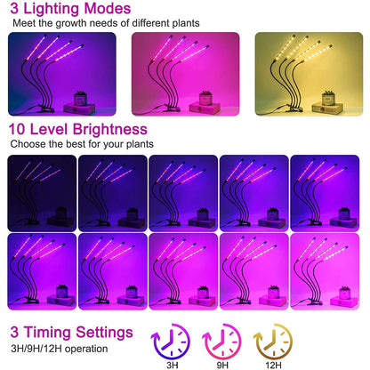 Rynx | LEOTER Grow Light for Indoor Plants