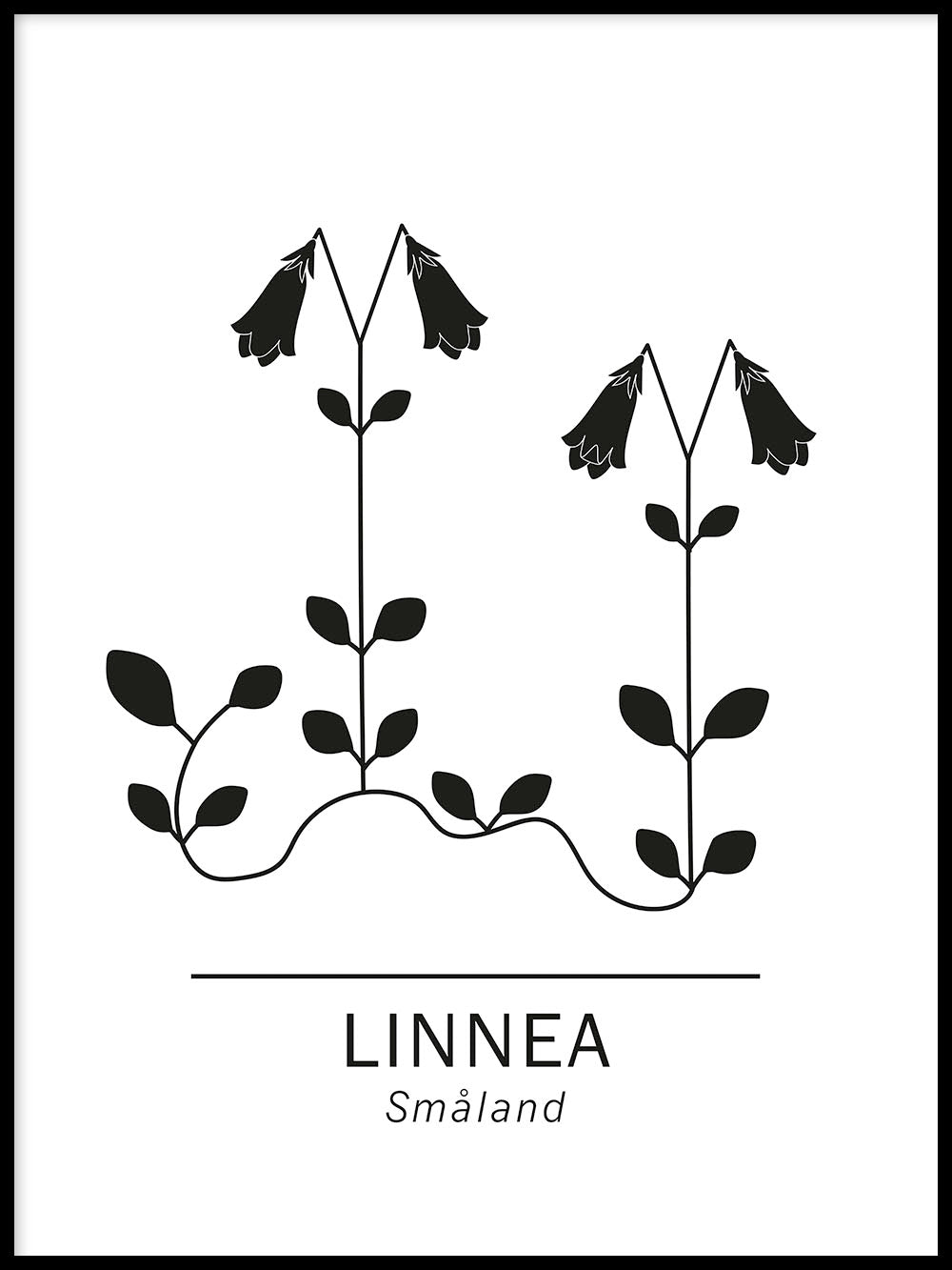 Rynx | Linnaea borealis