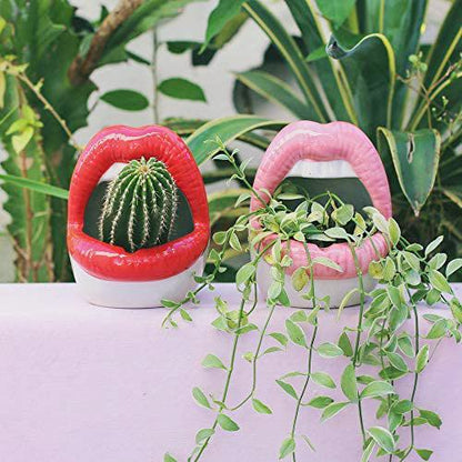 Rynx Creative Lips Flower Pot