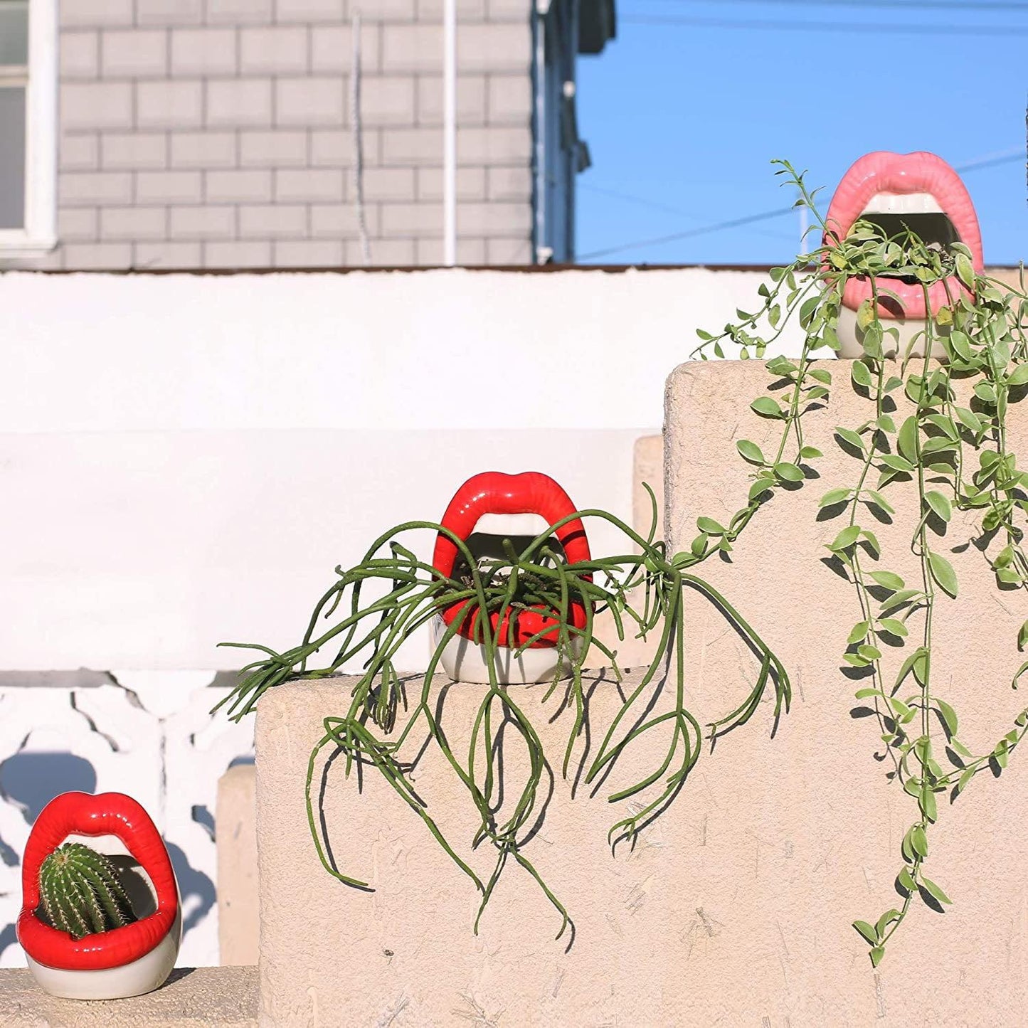 Rynx Creative Lips Flower Pot