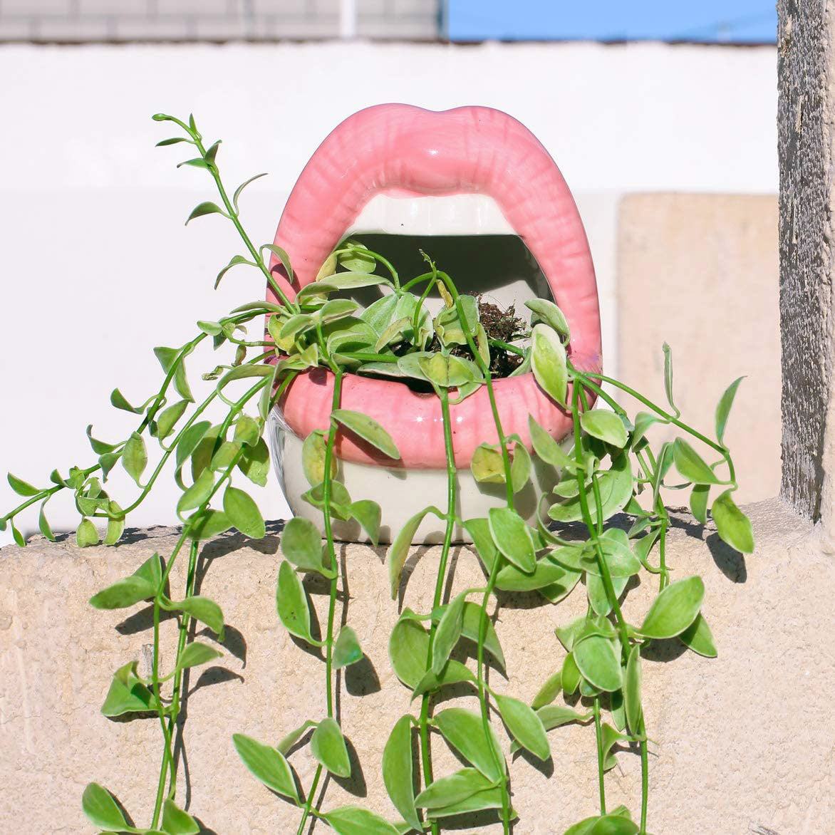 Rynx Creative Lips Flower Pot