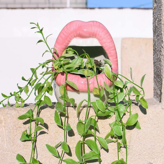 Rynx Creative Lips Flower Pot