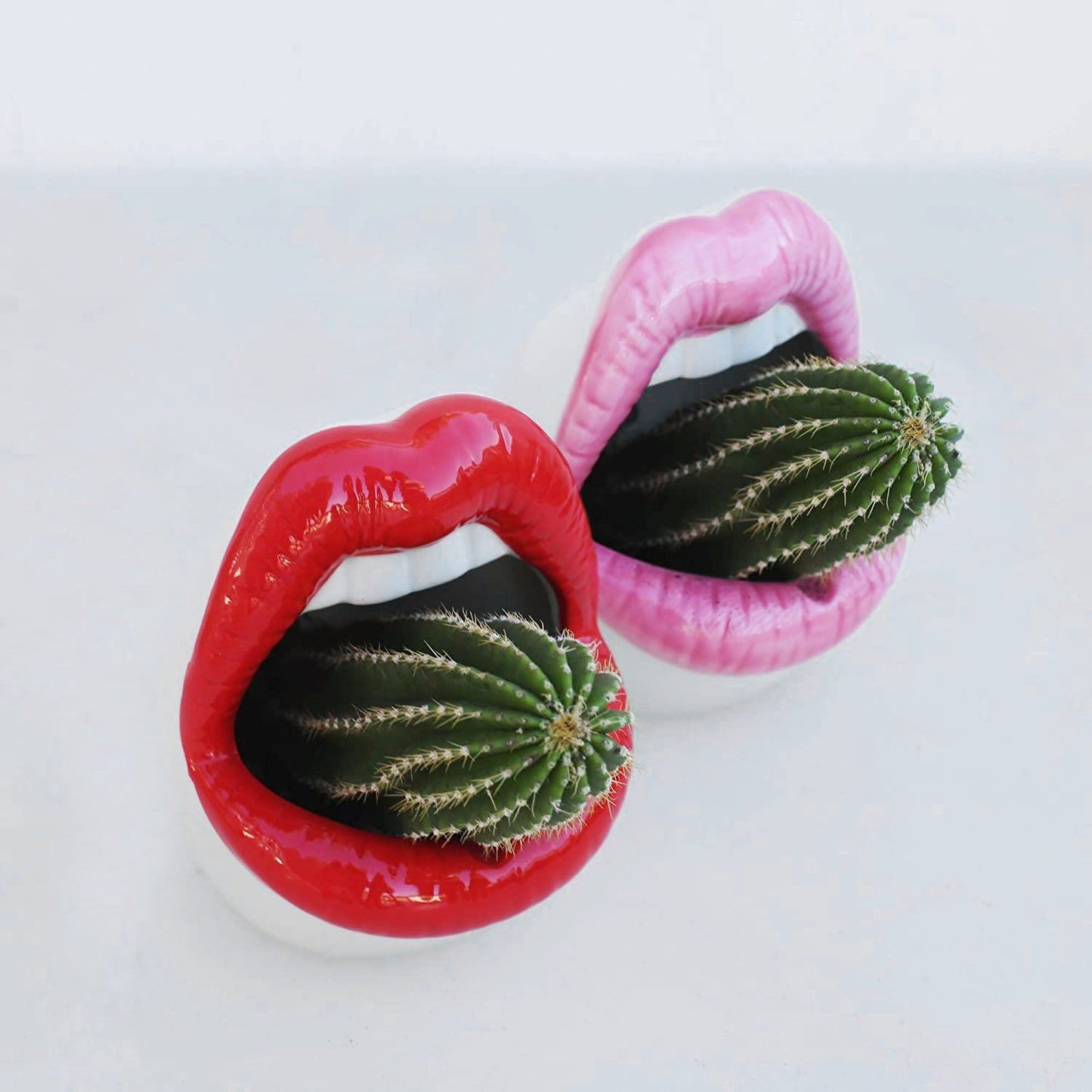 Rynx Creative Lips Flower Pot