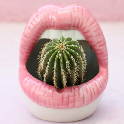 Rynx Creative Lips Flower Pot
