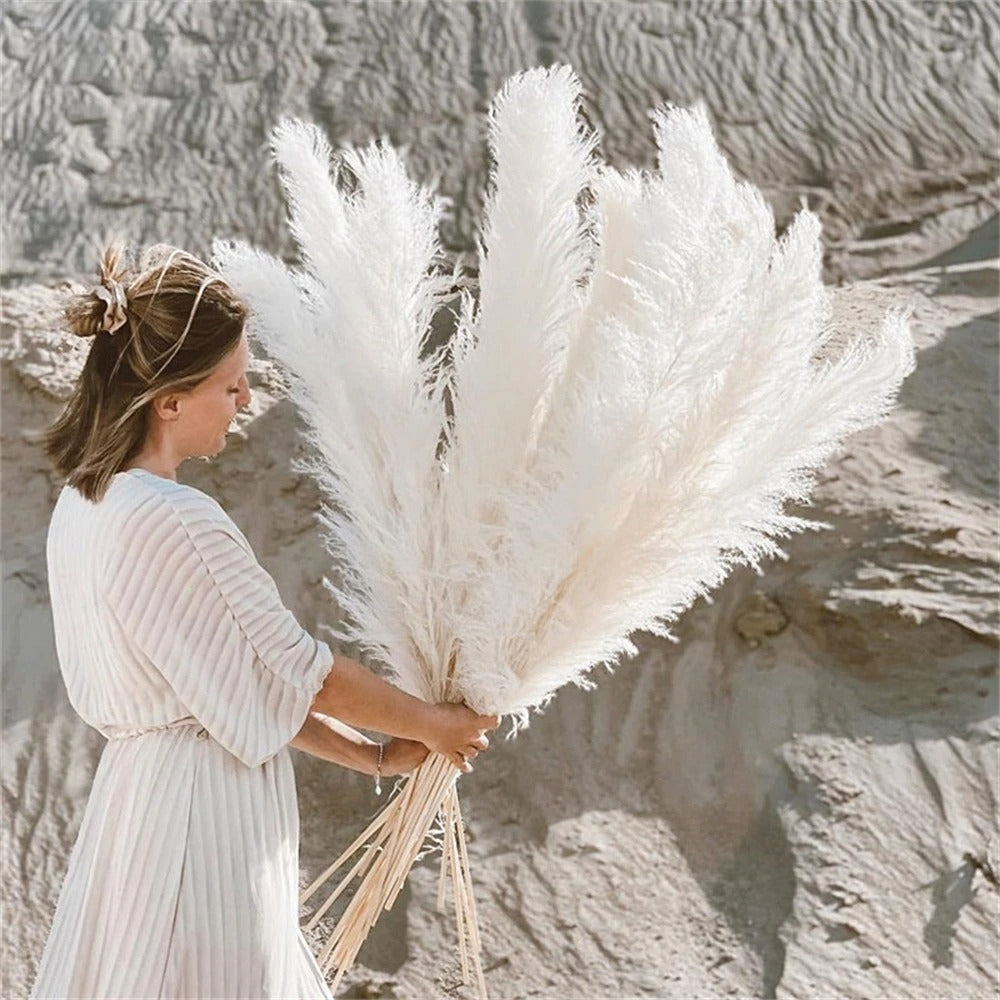 Rynx | FeatherBloom Pampas Grass | Large Feathers for Luxurious Decoration | Dried Flowers for Home & Events