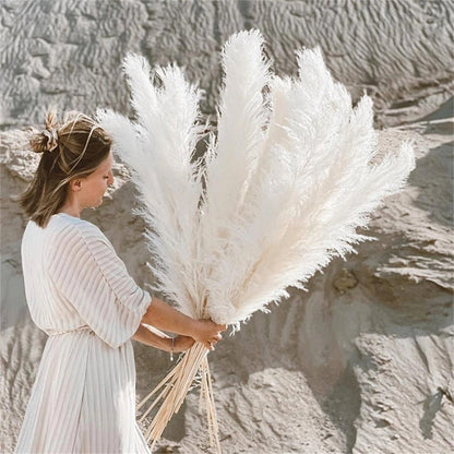 Rynx | FeatherBloom Pampas Grass | Large Feathers for Luxurious Decoration | Dried Flowers for Home & Events