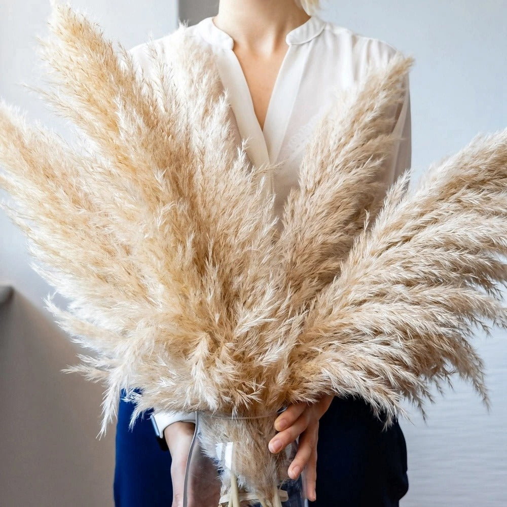 Rynx | FeatherBloom Pampas Grass | Large Feathers for Luxurious Decoration | Dried Flowers for Home & Events