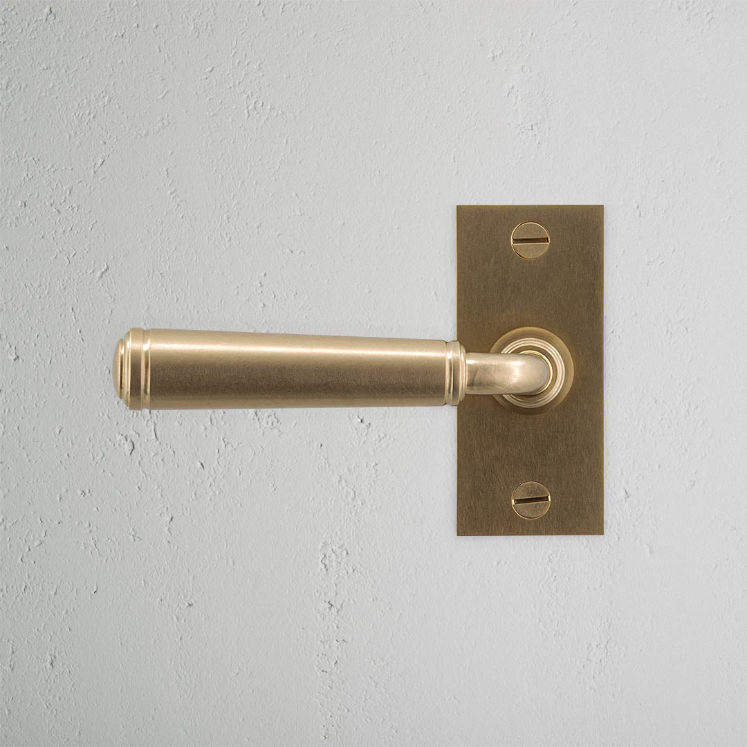 Rynx | Digby Short Plate Fixed Door Handle - Antique Brass
