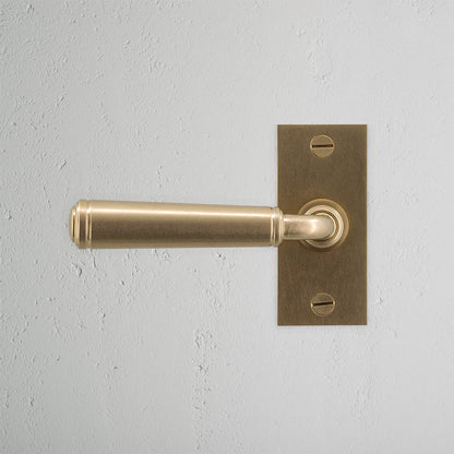 Rynx | Digby Short Plate Fixed Door Handle - Antique Brass