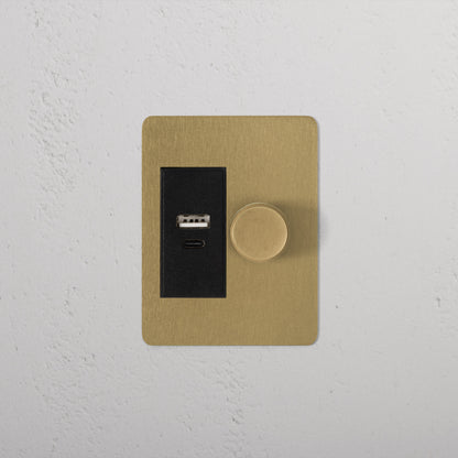 Rynx | 1G Two Way Dimmer + USB A+C Slimline Switch - Antique Brass Black