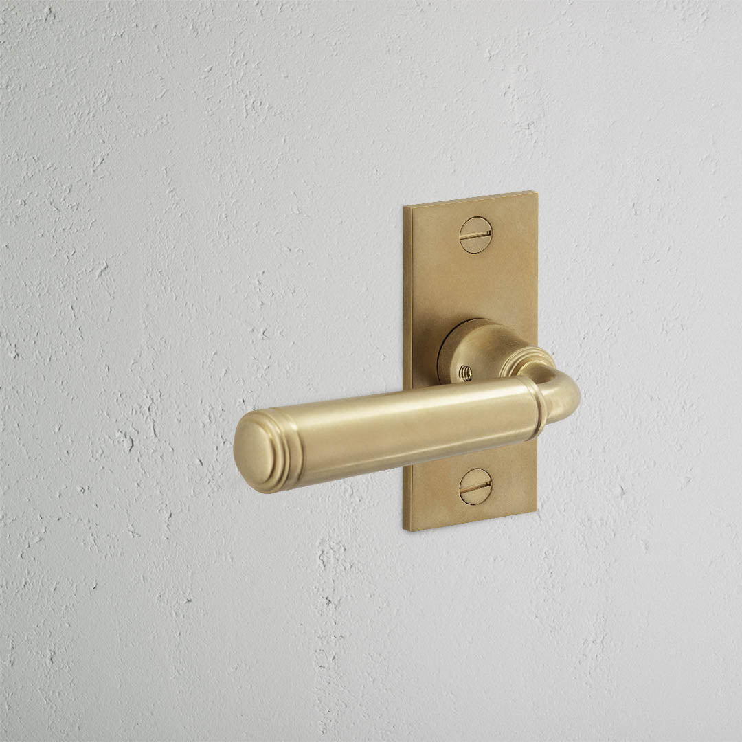 Rynx | Digby Short Plate Fixed Door Handle - Antique Brass