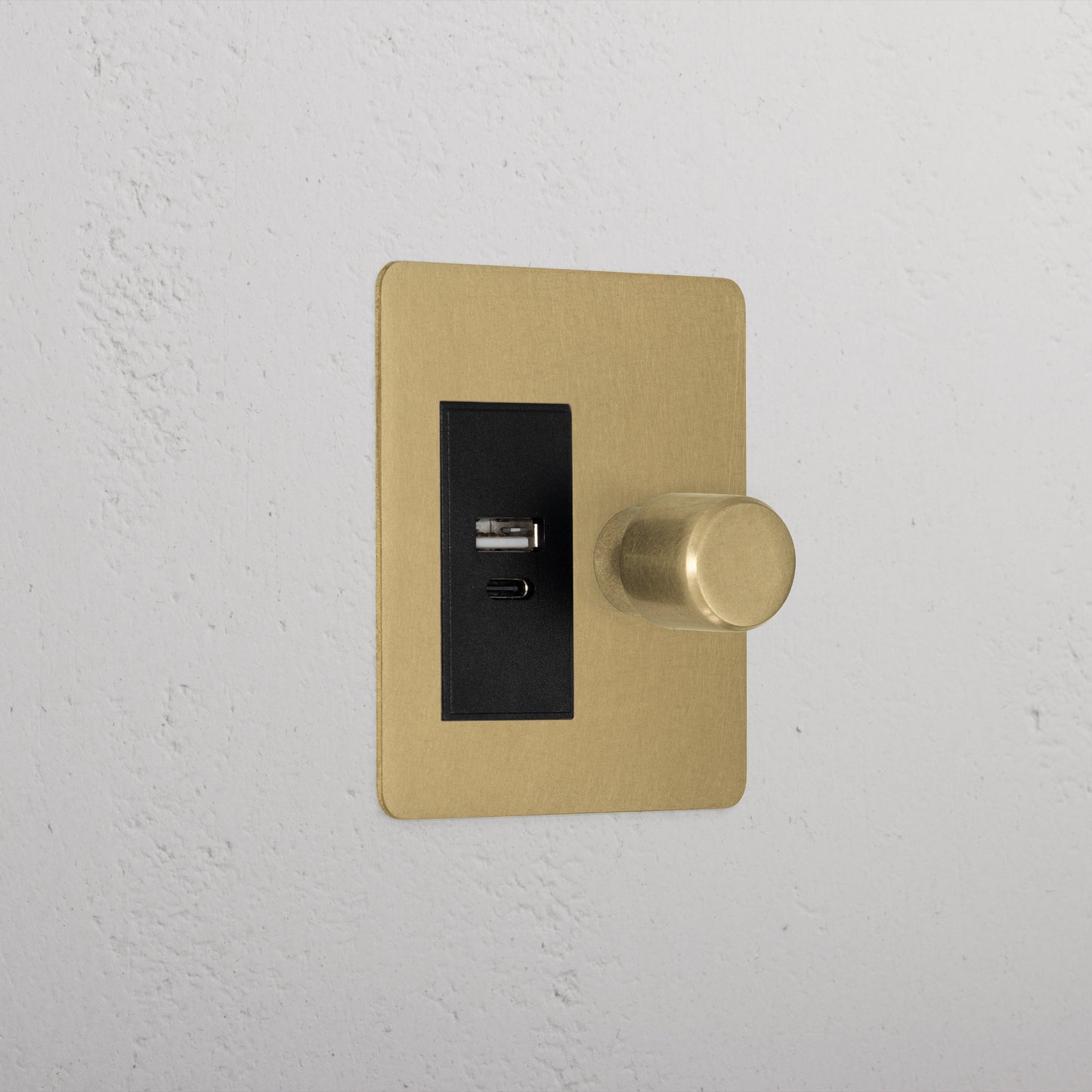 Rynx | 1G Two Way Dimmer + USB A+C Slimline Switch - Antique Brass Black