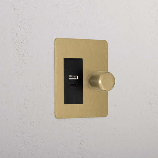 Rynx | 1G Two Way Dimmer + USB A+C Slimline Switch - Antique Brass Black