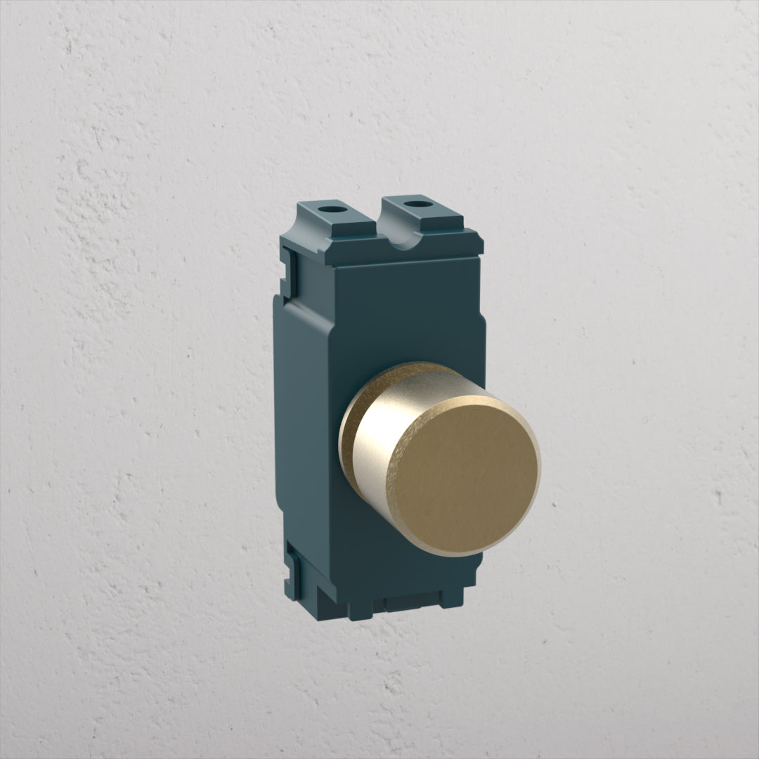 Rynx | 0-10V Dimmer Switch - Clear Antique Brass
