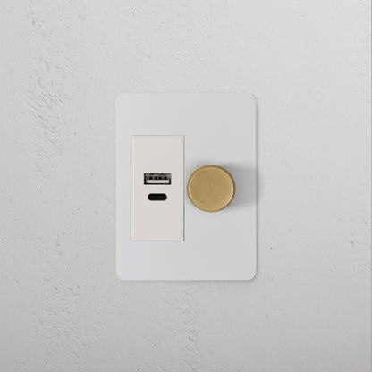Rynx | 1G Two Way Dimmer + USB A+C Slimline Switch - Malbar Antique Brass White