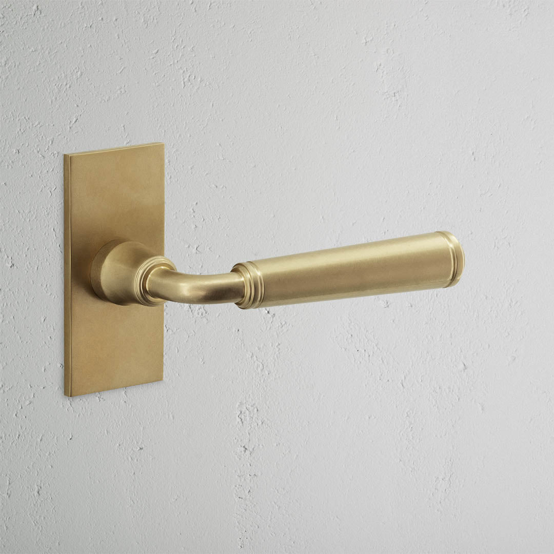 Rynx | Digby Short Plate Fixed Door Handle - Antique Brass