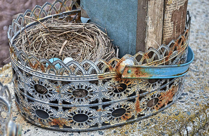Rynx | Oval Pierced Baskets Set of 3