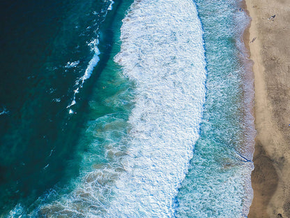 Rynx | Mini Surfer