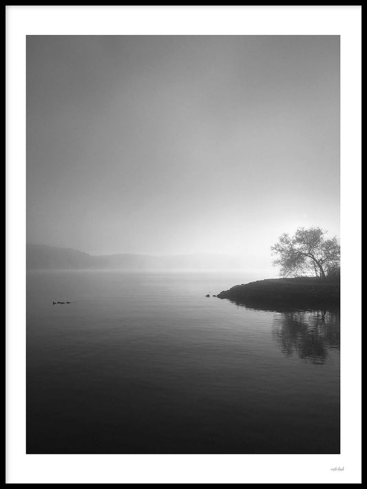 Rynx | Misty Lake II