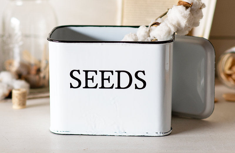Rynx | Enamel Seed Box