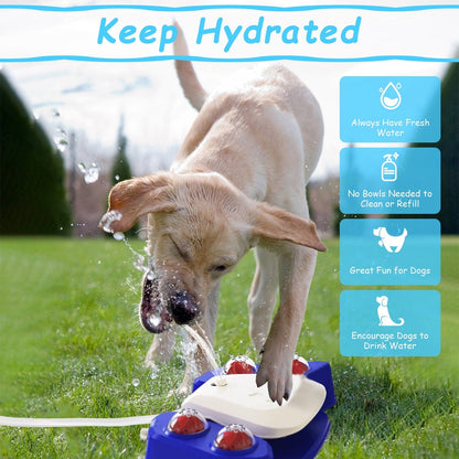 Rynx | Multifunctional Automatic Pet Water Dispenser Outdoor Foot-activated Spraying System