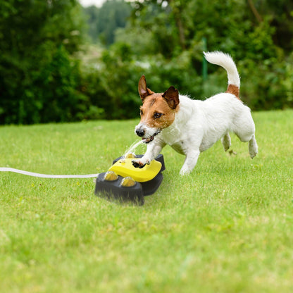 Rynx | Multifunctional Automatic Pet Water Dispenser Outdoor Foot-activated Spraying System