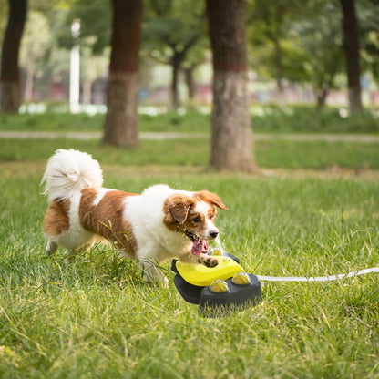 Rynx | Multifunctional Automatic Pet Water Dispenser Outdoor Foot-activated Spraying System