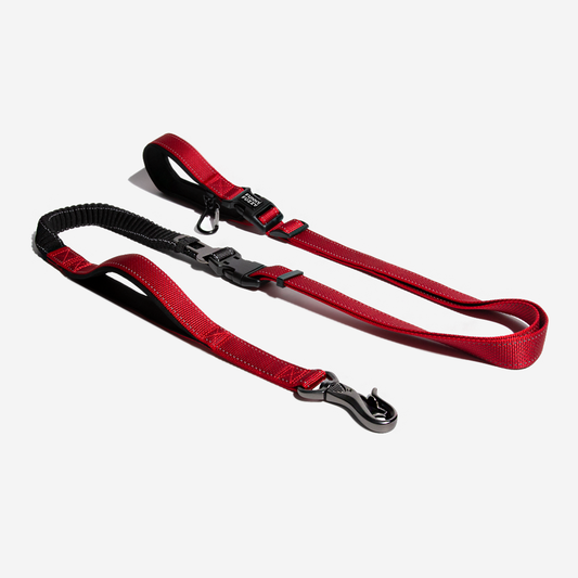 RYNX | Hands Free Dog Leash With Safety Seat Belt
