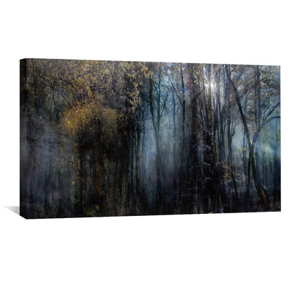 Rynx | Mysterious Trees Canvas