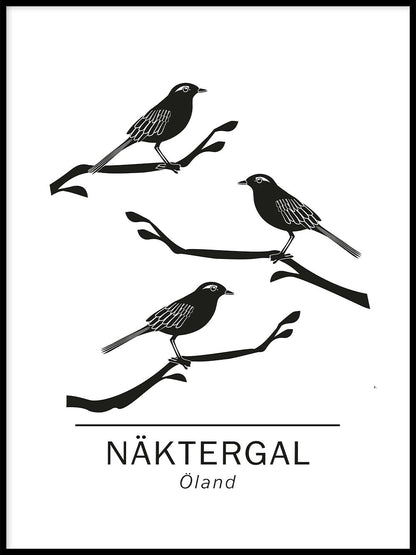 Rynx | Curlew the official animals of ölans, Sweden.