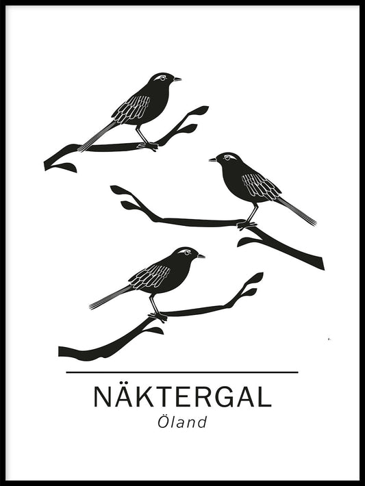 Rynx | Curlew the official animals of ölans, Sweden.