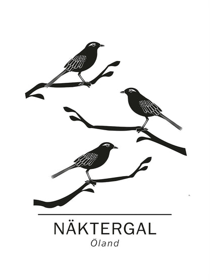 Rynx | Curlew the official animals of ölans, Sweden.