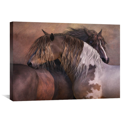 Rynx | A Spirit Canvas
