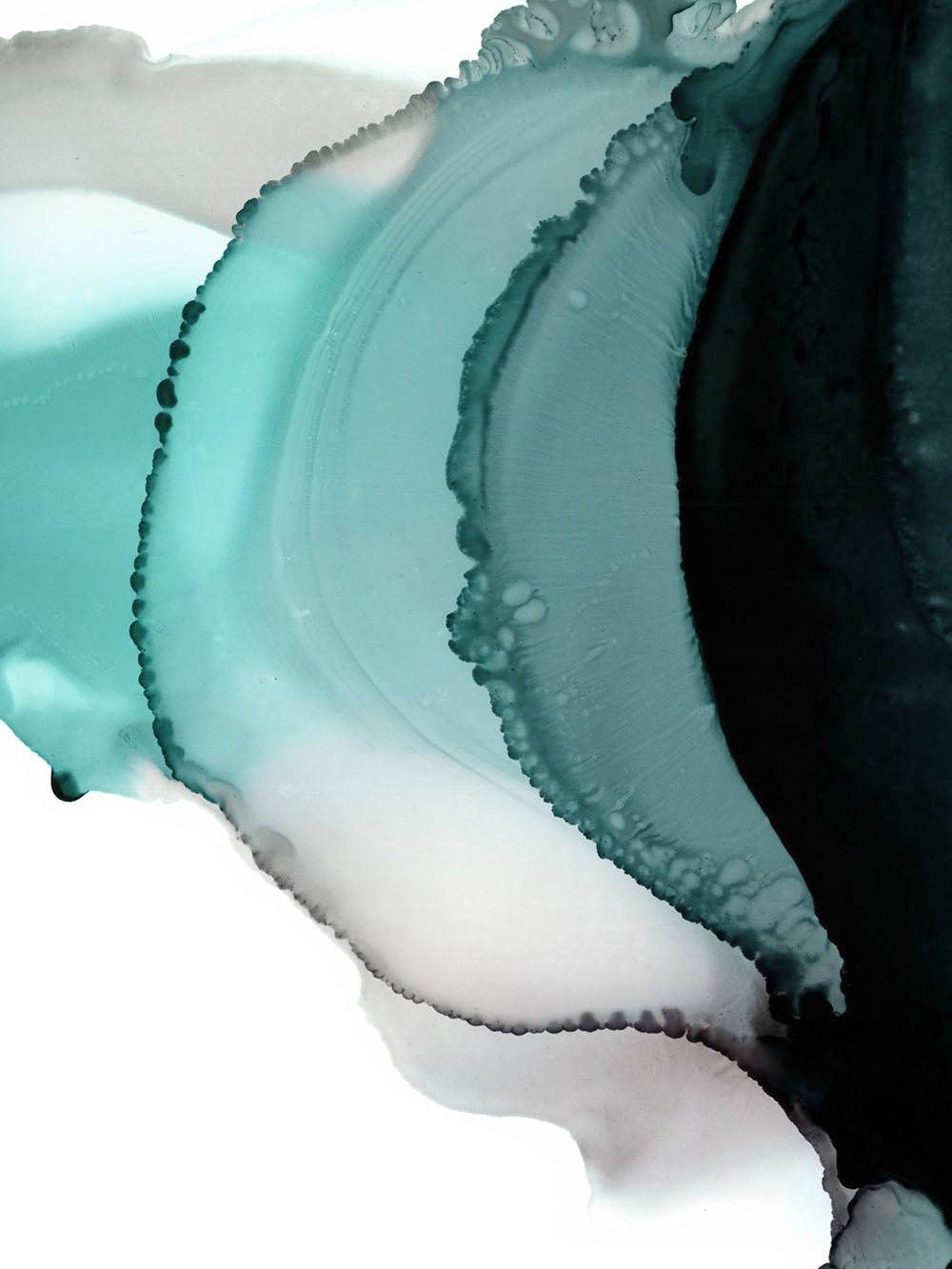 Rynx | Optics