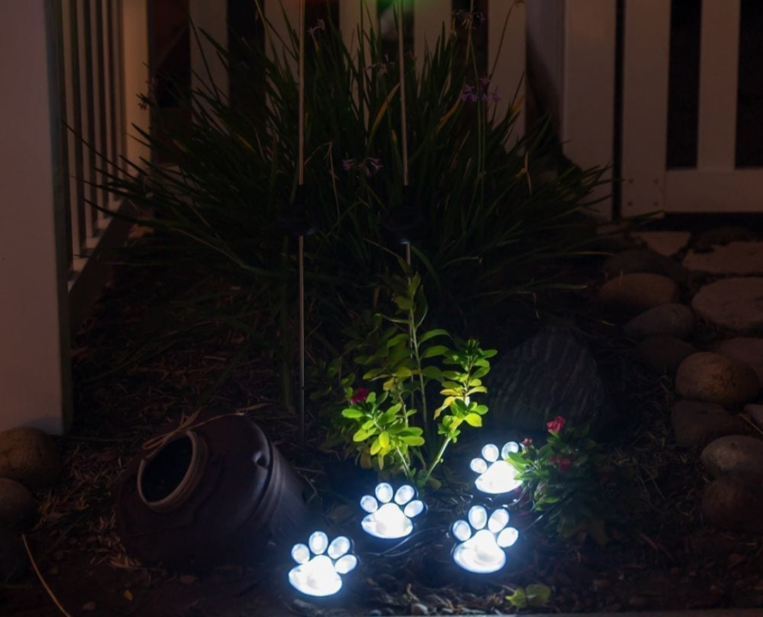 Rynx | Pawlight - Solar Garden Lighting