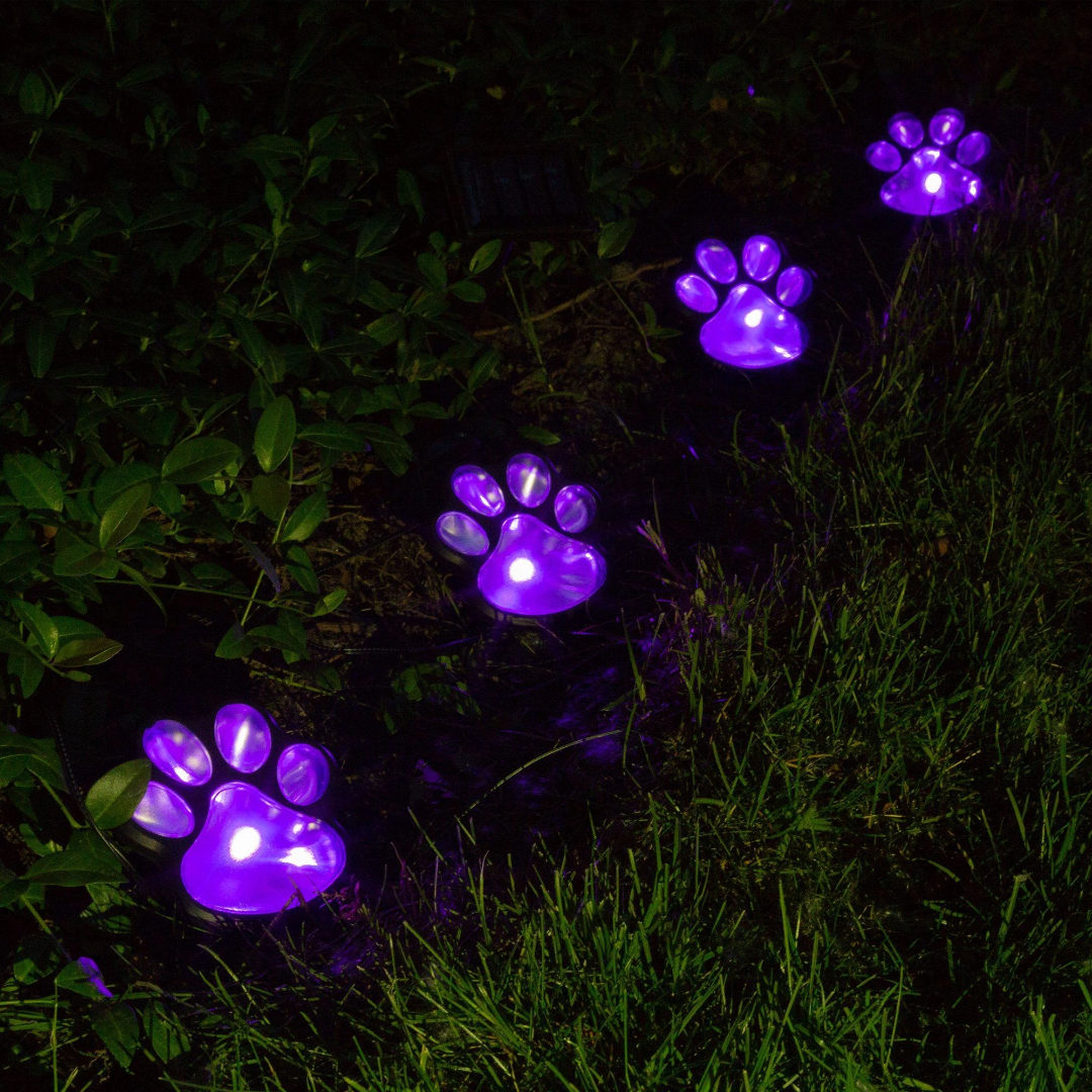 Rynx | Pawlight - Solar Garden Lighting