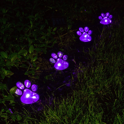 Rynx | Pawlight - Solar Garden Lighting