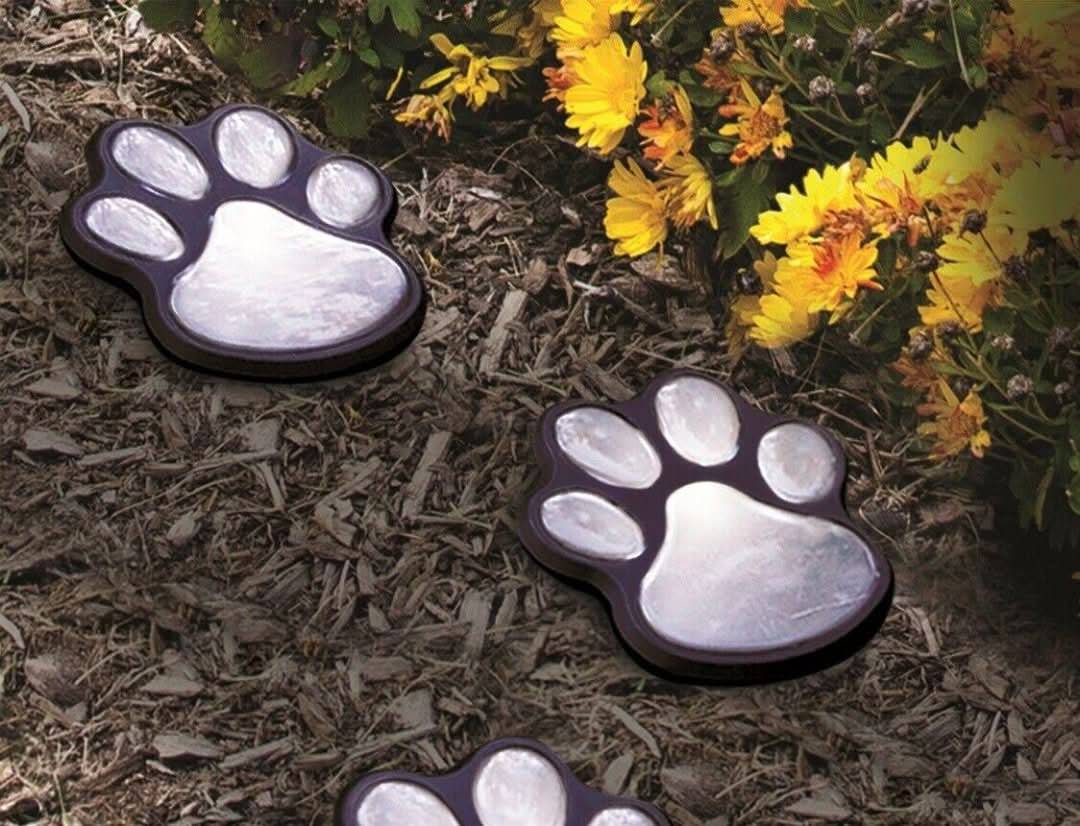 Rynx | Pawlight - Solar Garden Lighting
