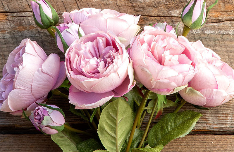 Rynx | Antique Garden Peony Bundle