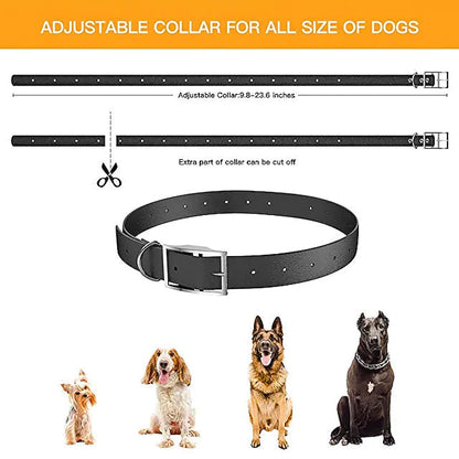Rynx | Pet Dog Shock Collar with Remote