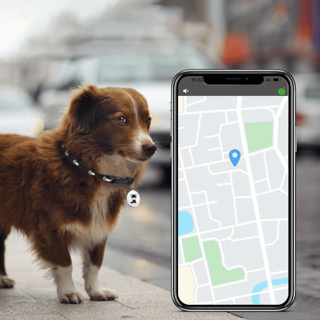Rynx | Pet GPS Tracker - Dogs And Cats - Android And iOS