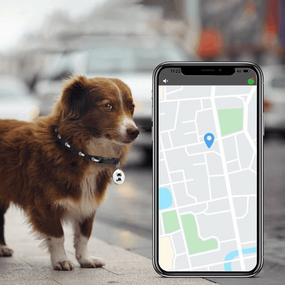 Rynx | Pet GPS Tracker - Dogs And Cats - Android And iOS