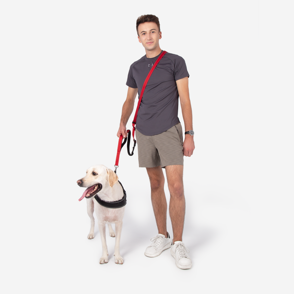 RYNX | Hands Free Dog Leash With Safety Seat Belt