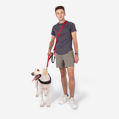RYNX | Hands Free Dog Leash With Safety Seat Belt