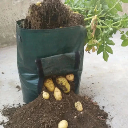 Rynx | Minigarden - Vegetables And Plant Grow Bags