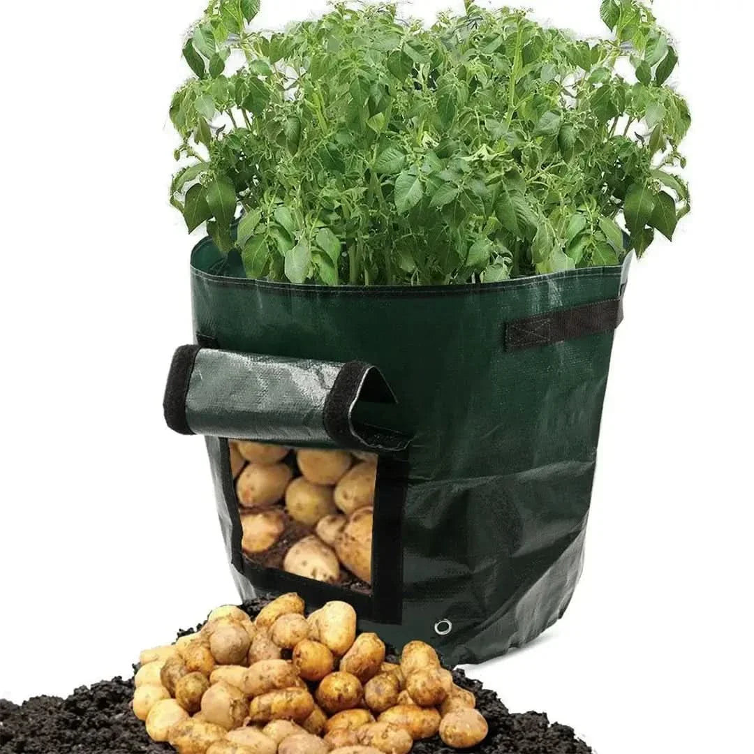 Rynx | Minigarden - Vegetables And Plant Grow Bags