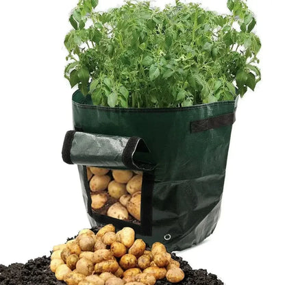 Rynx | Minigarden - Vegetables And Plant Grow Bags
